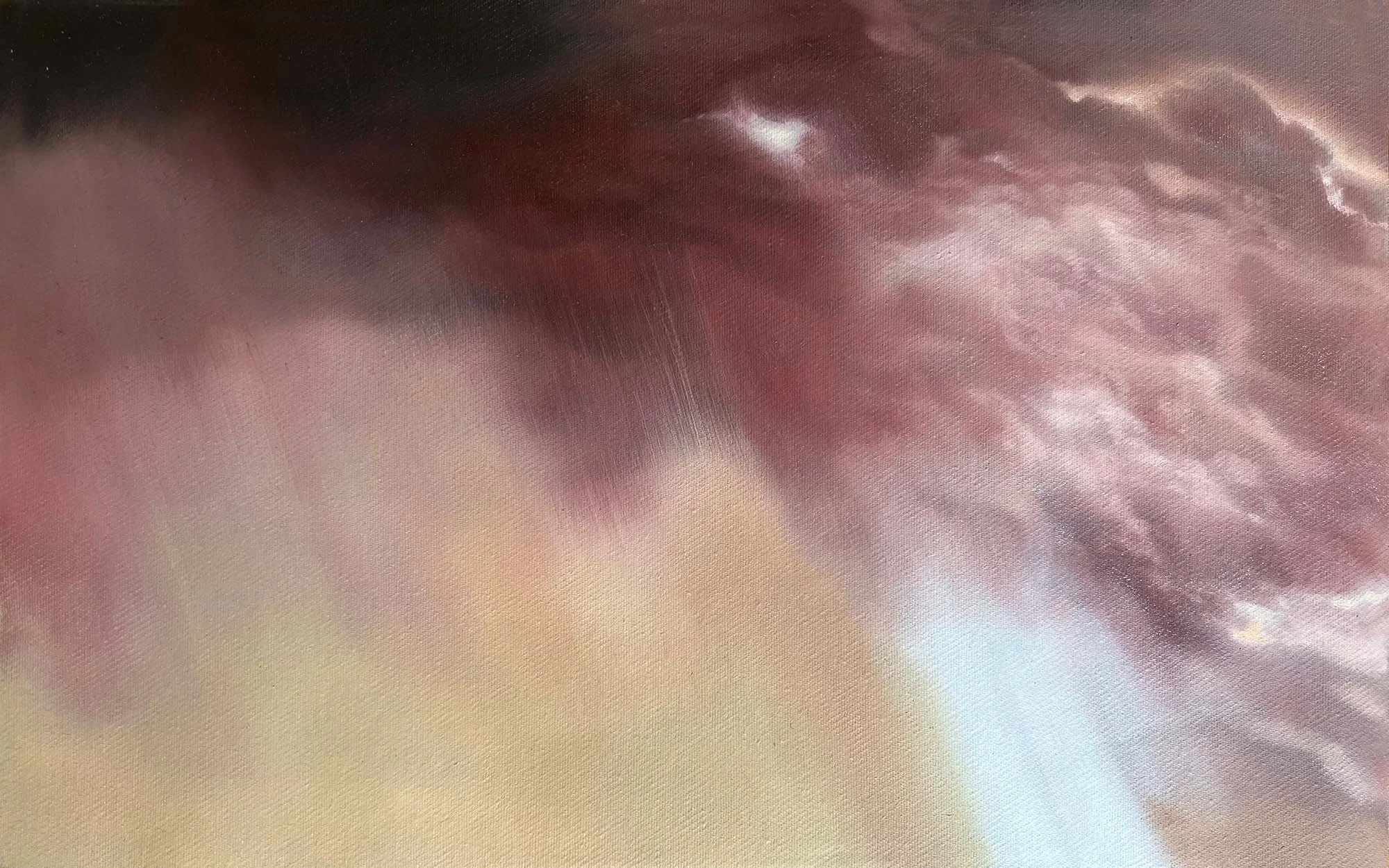   Your Sky all Hung with Jewels  Oil, pearlescent pigment on canvas, framed in Tasmanian oak, 25 x 40 cm. 