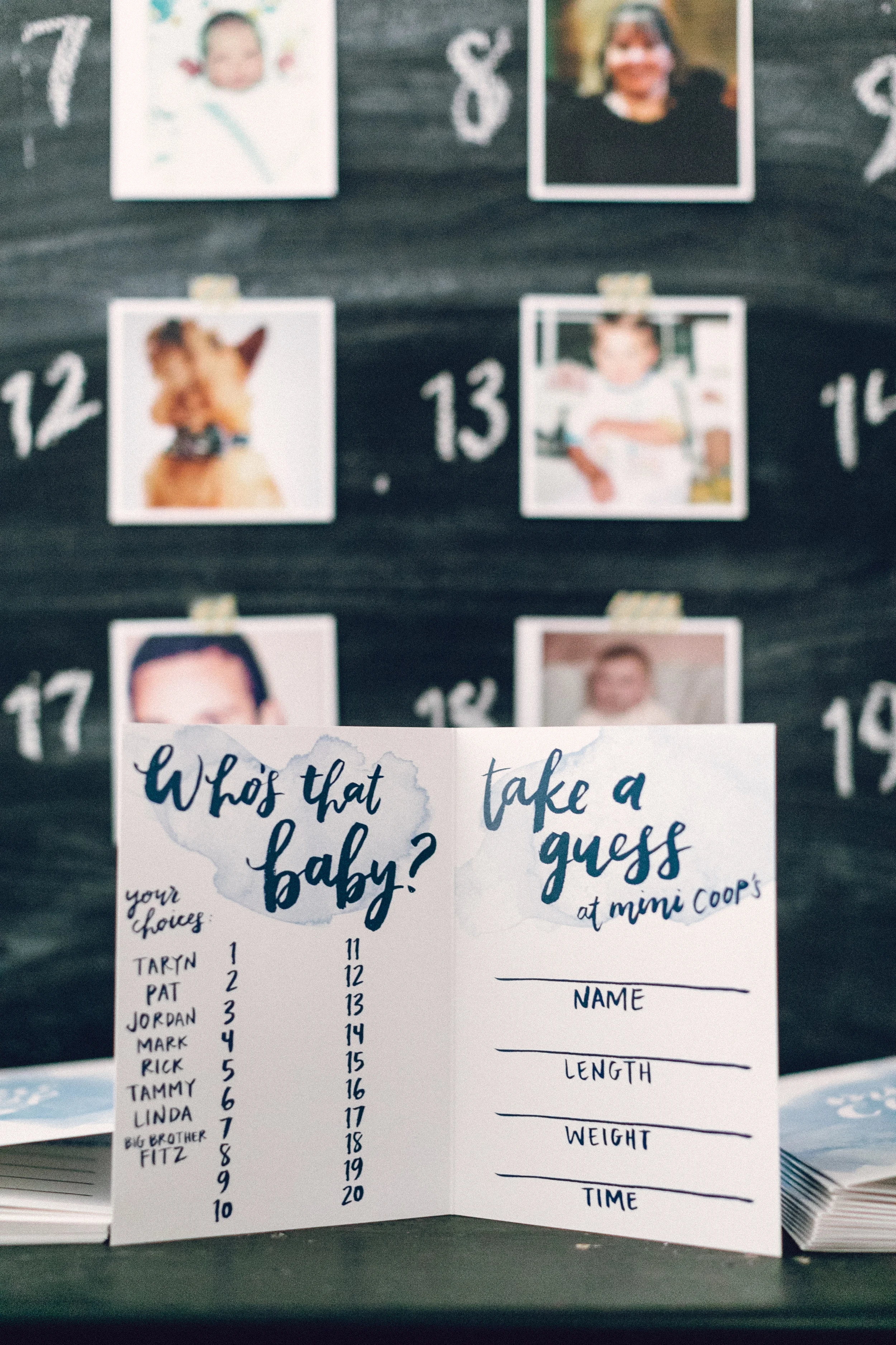 "who's that baby" baby shower game cards by hello, bird. // photo courtesy of danfredo photos + films