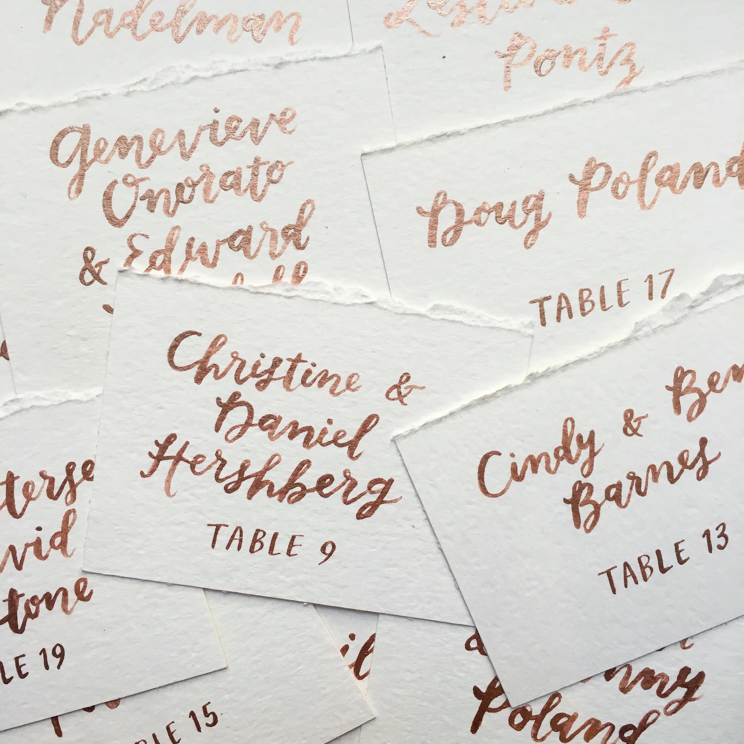  hello, bird. metallic rose gold copper watercolor brush calligraphy escort cards with a top deckle edge 