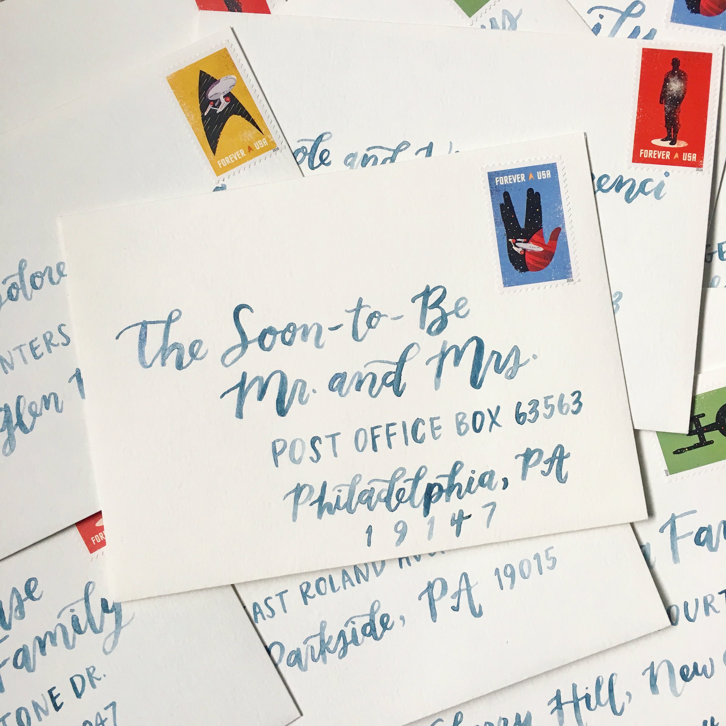  wendy bird brush mix&nbsp; 