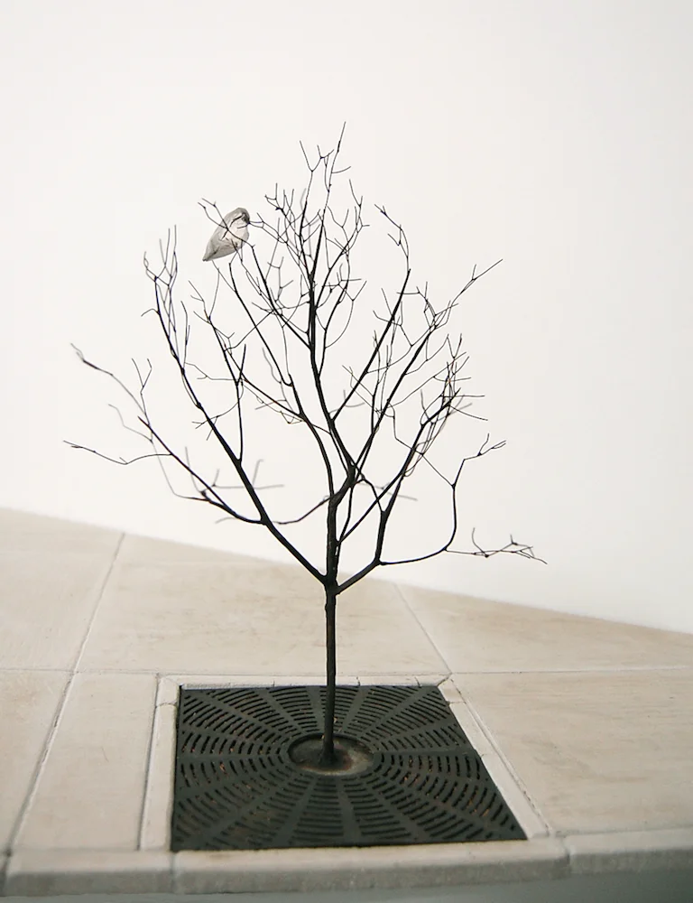 treewithbagweb2.jpg