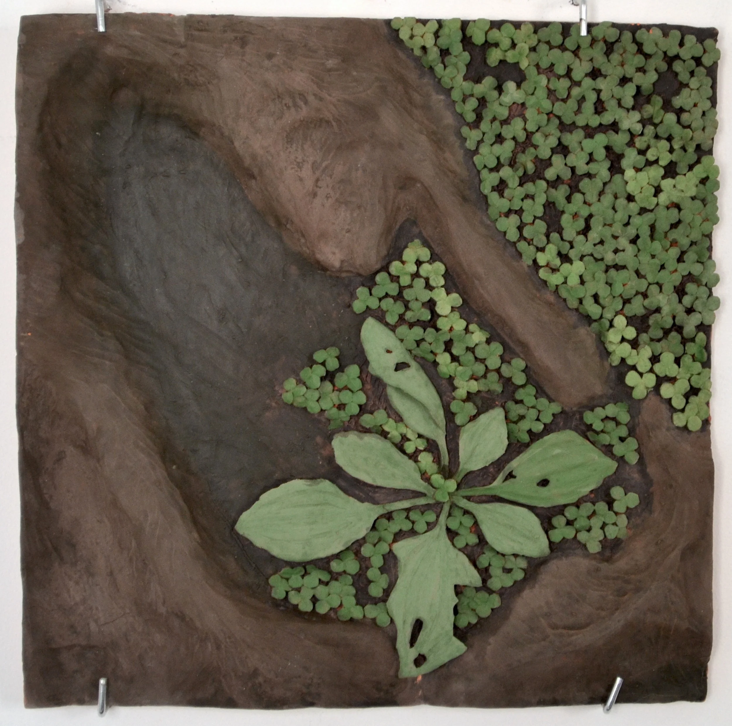 17 Stump Fragment.JPG