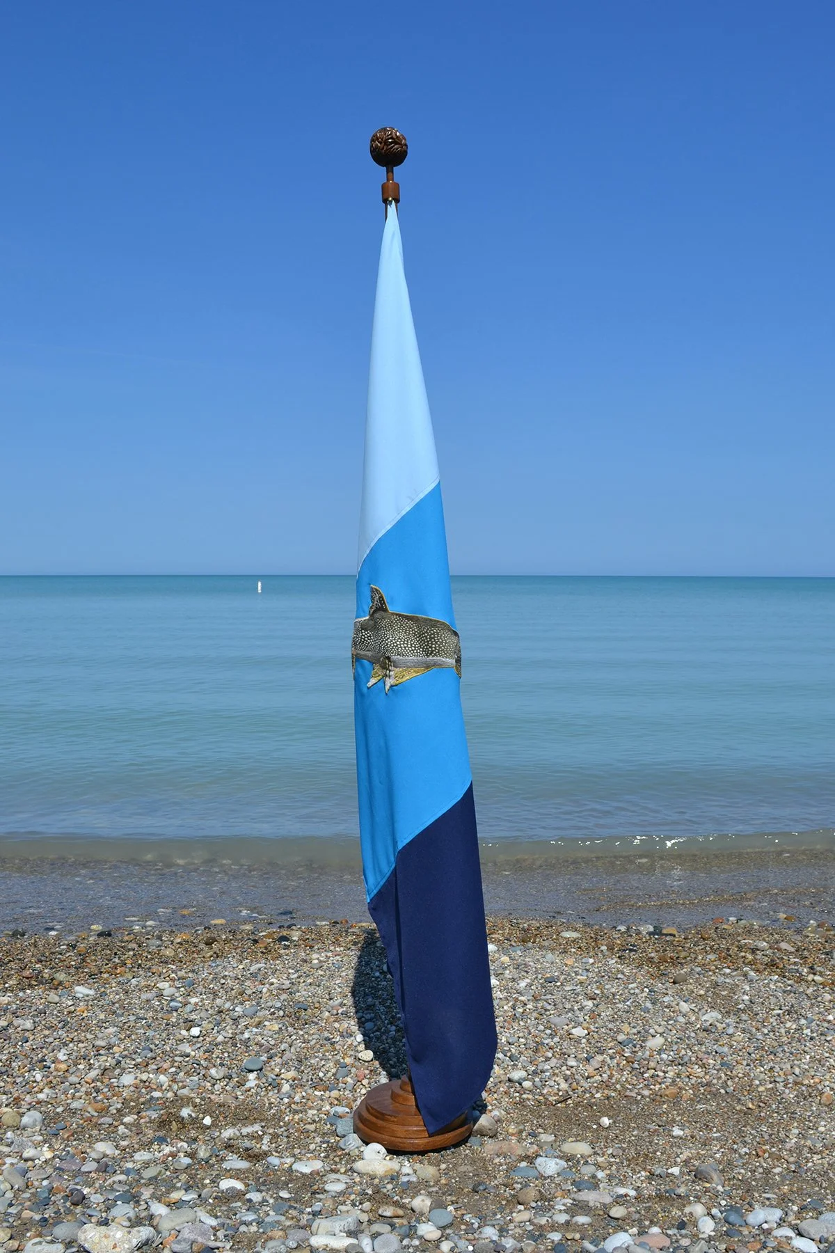 Cascade or Cycle: Flag for Julian's Reef