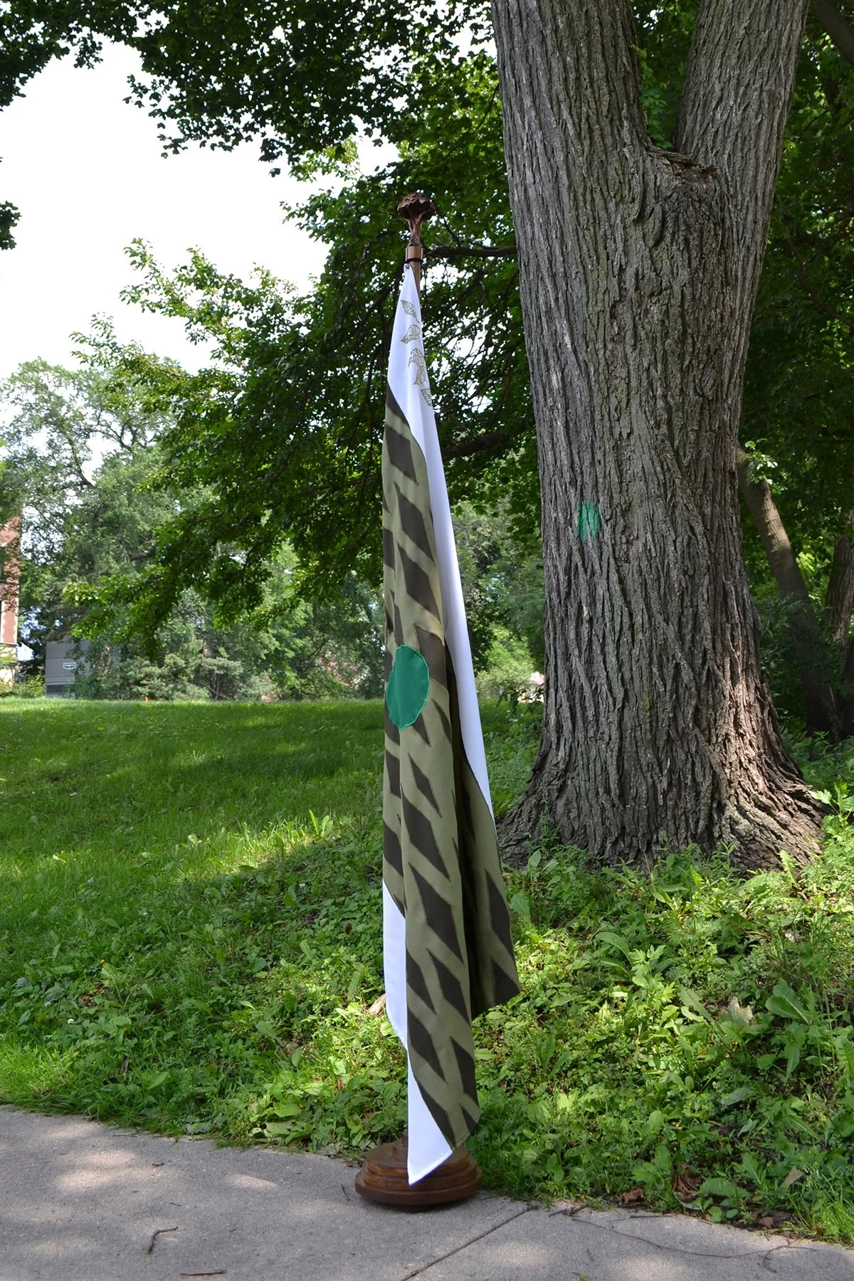 Inoculated: Flag for the Evanston Elms