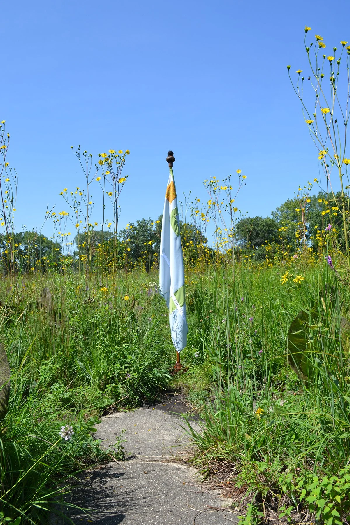 Remnant: Flag for Wolf Road Prairie