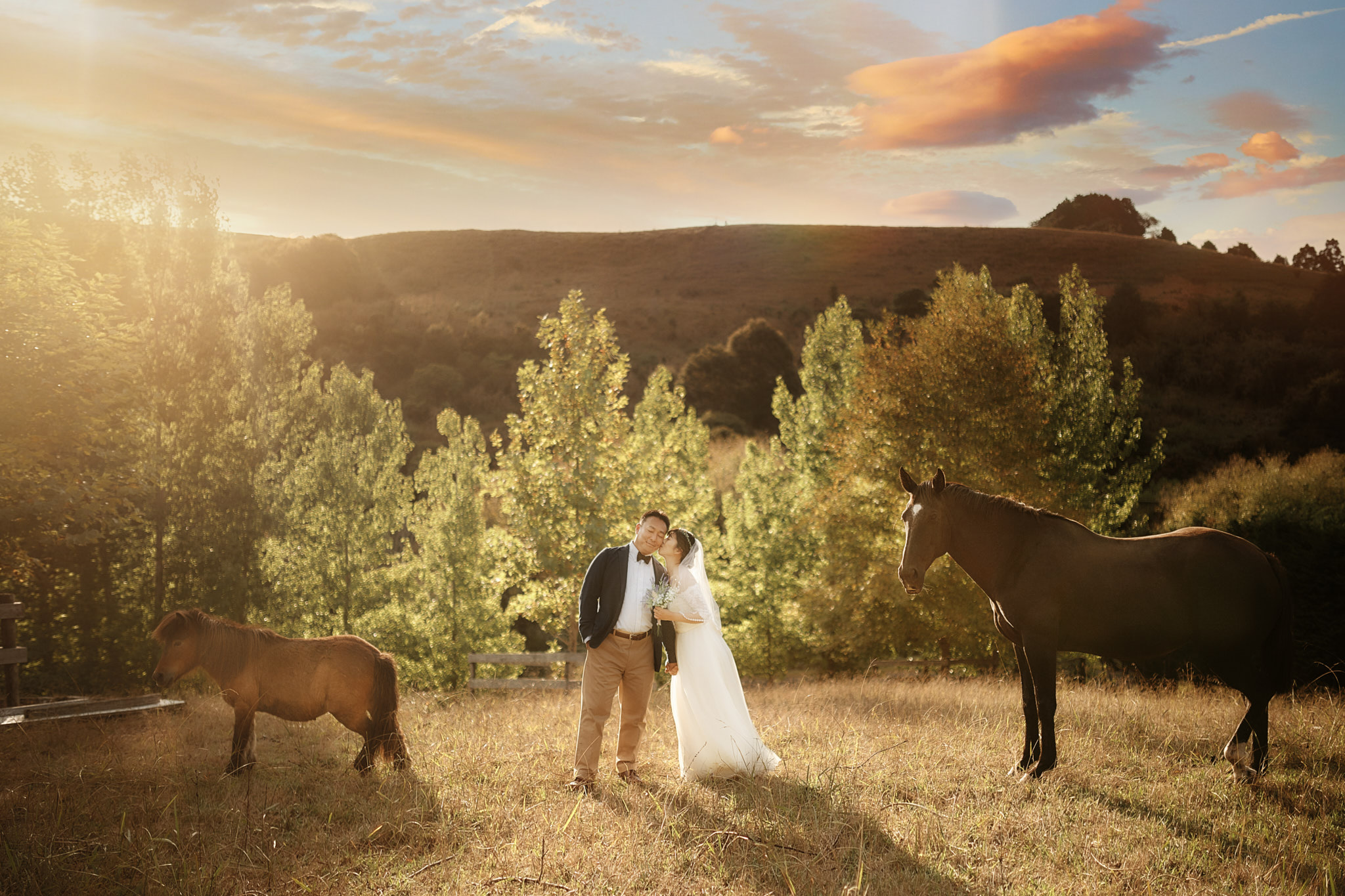 オークランド ニュージーランド ウェディング