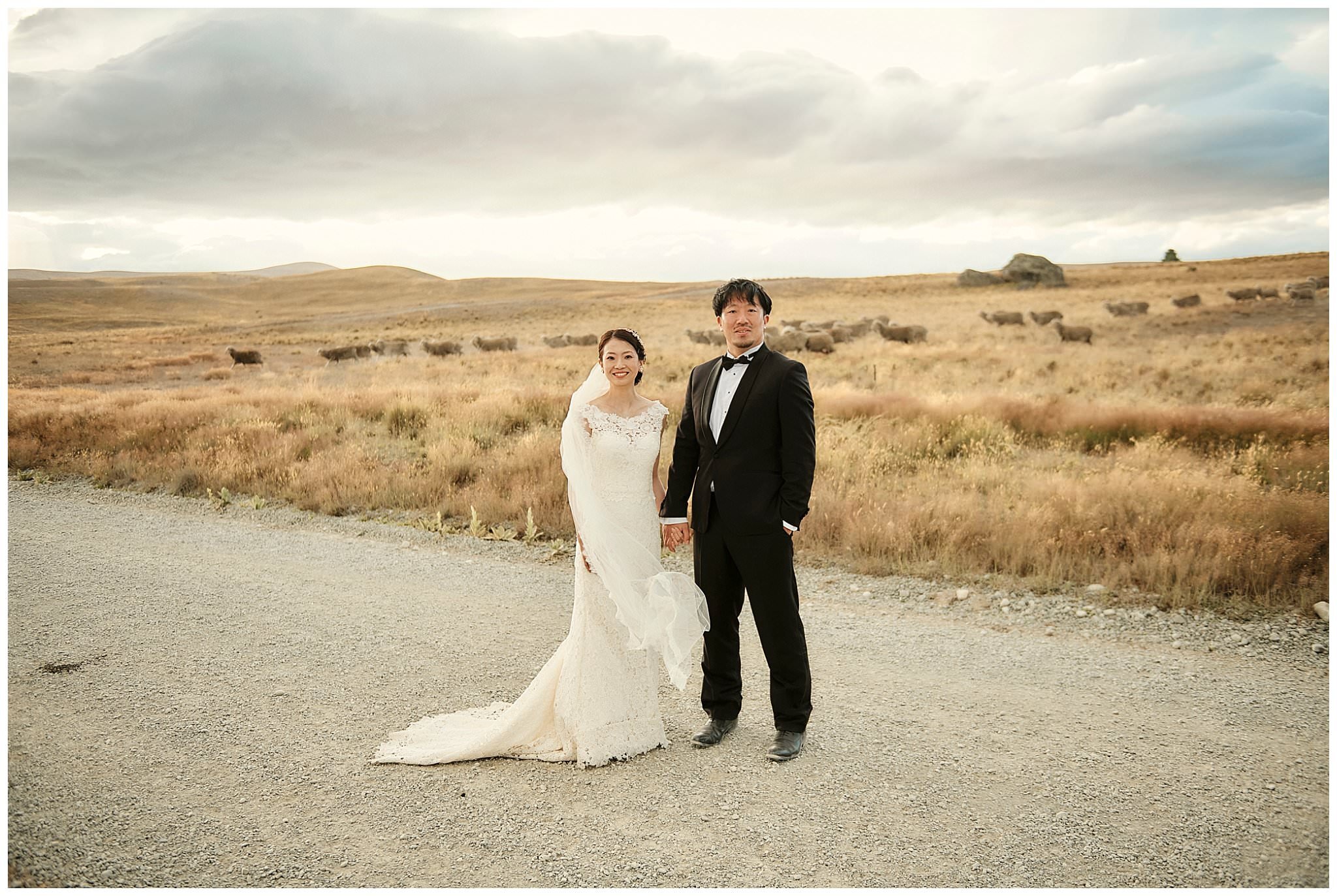 ニュージーランド　南島　クイーンズタウン　テカポ湖　ウェディング (Copy)