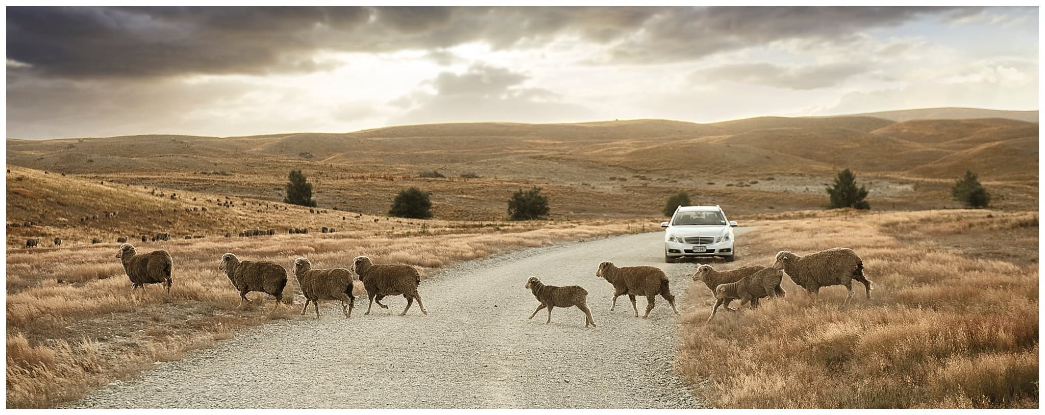 ニュージーランド　南島　クイーンズタウン　テカポ湖　ウェディング (Copy)