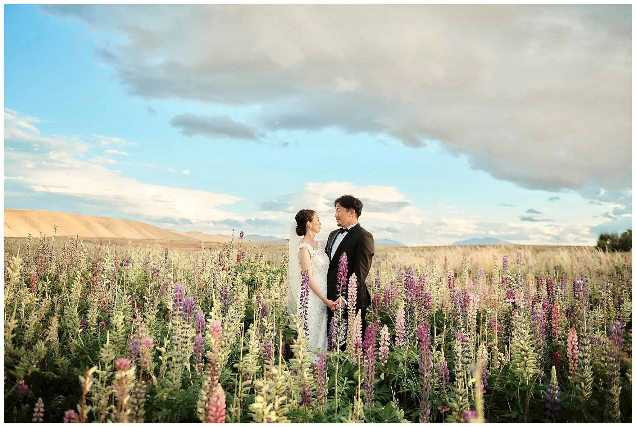 ニュージーランド　南島　クイーンズタウン　テカポ湖　ウェディング (Copy)