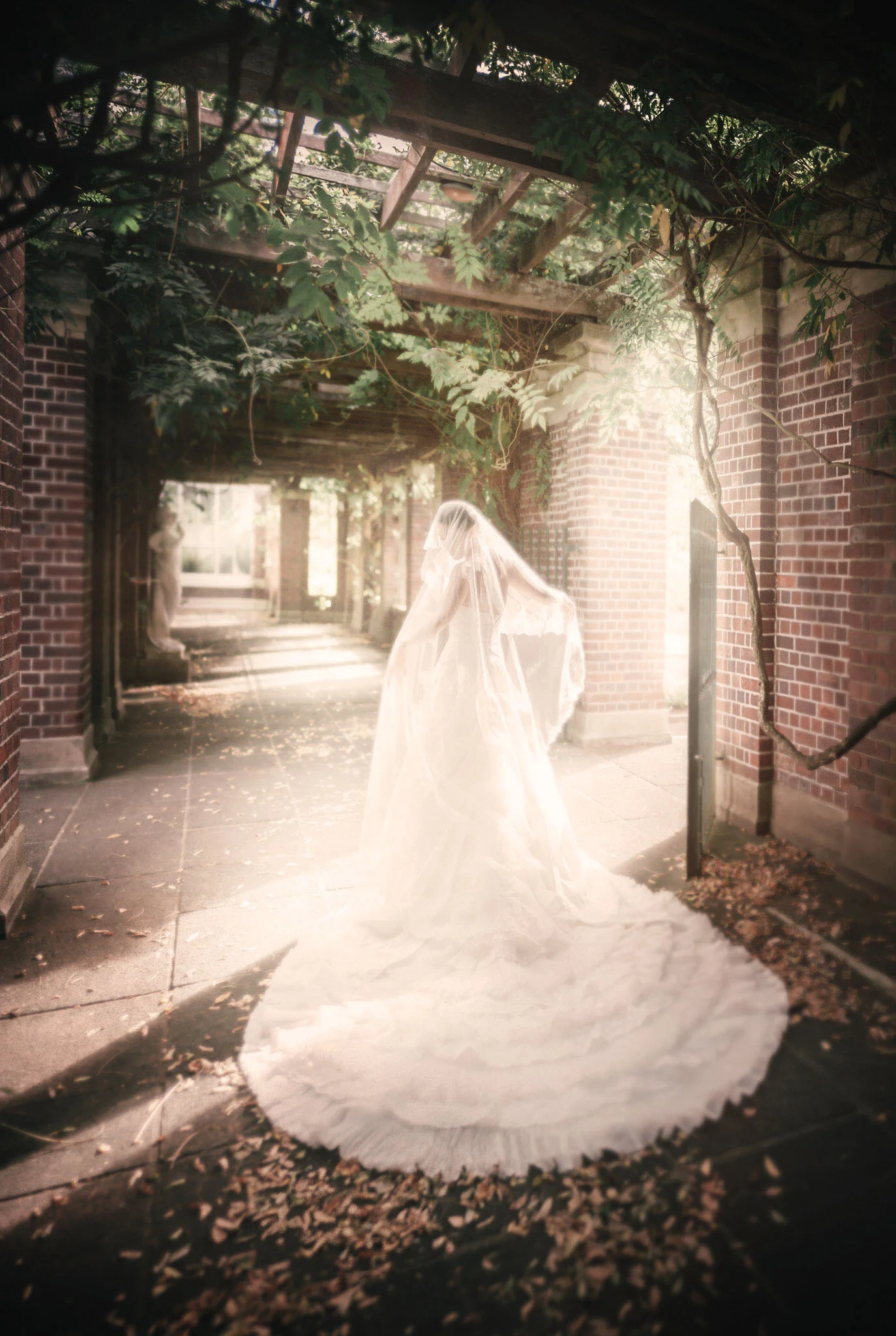 New Zealand Dark and Moody Photographer. 