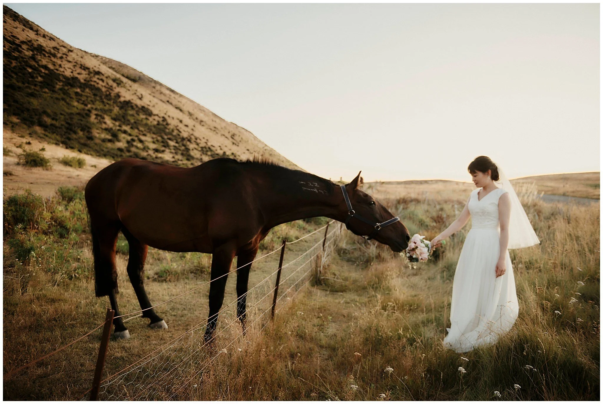 Queenstown Elopement Wedding Photographer