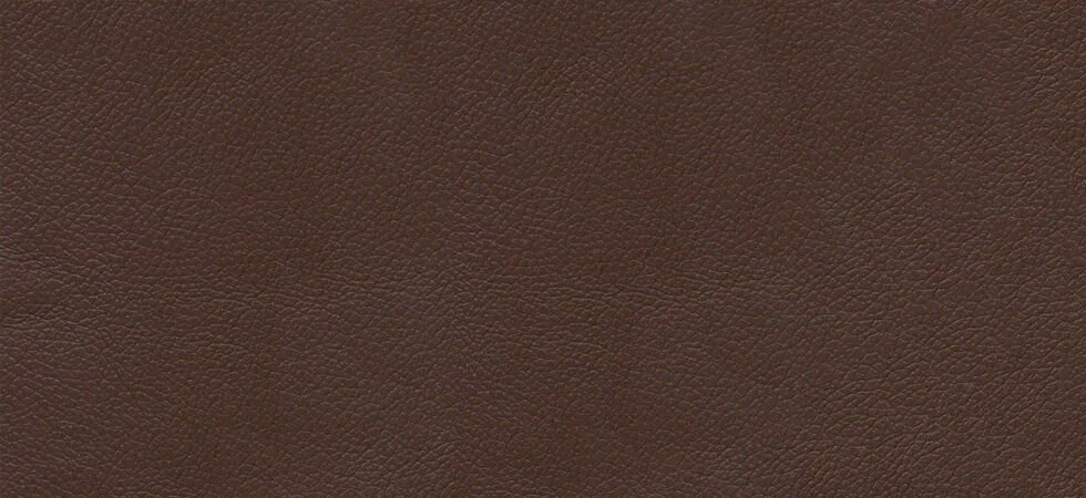 Classic Brown Leather