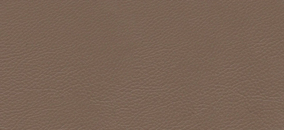 Cappucino Leather