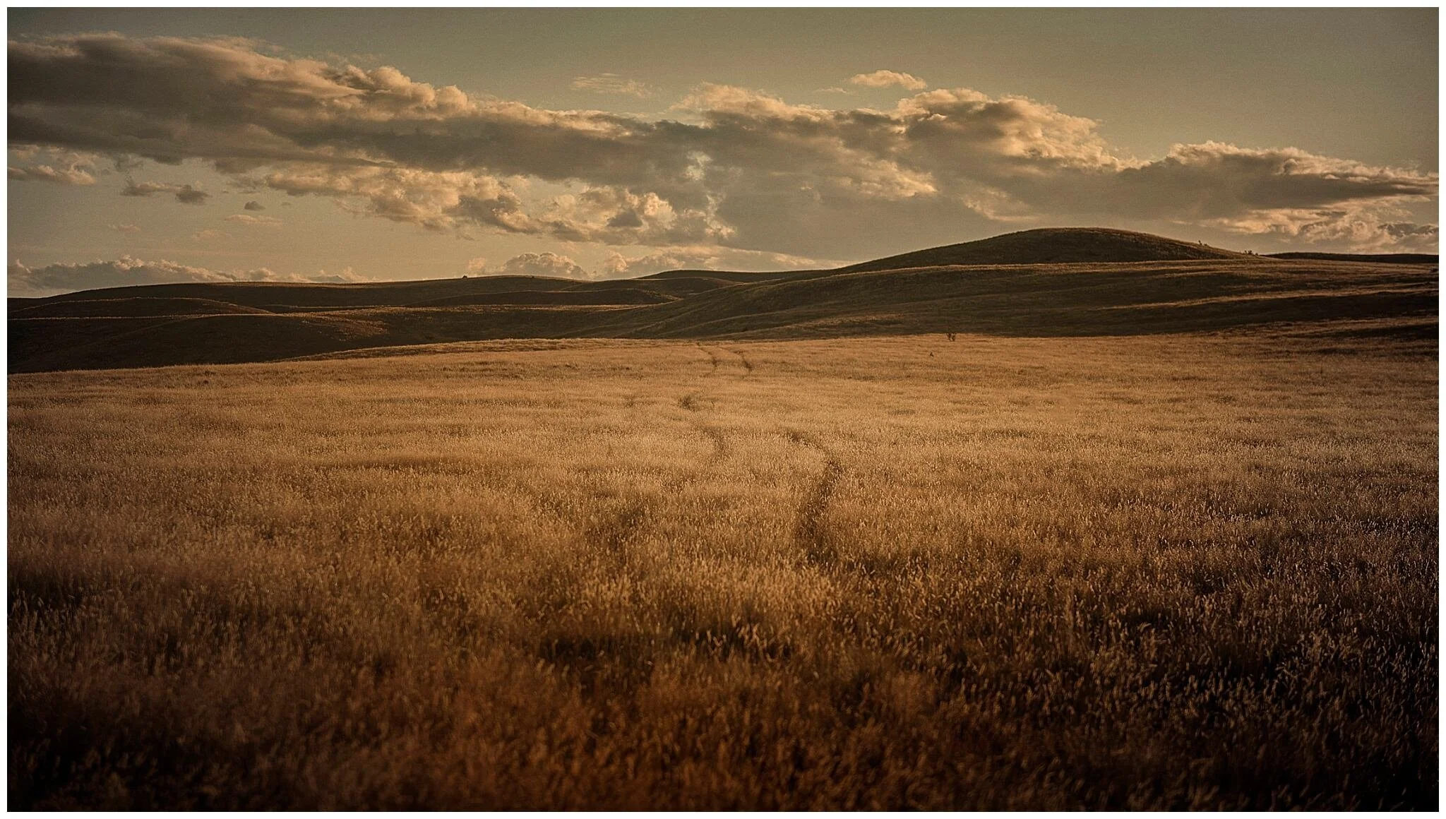 Heli-Wedding in Queenstown, New Zealand | Helicopter Wedding, Destination Wedding, Elopement Wedding, Mountain Weddings