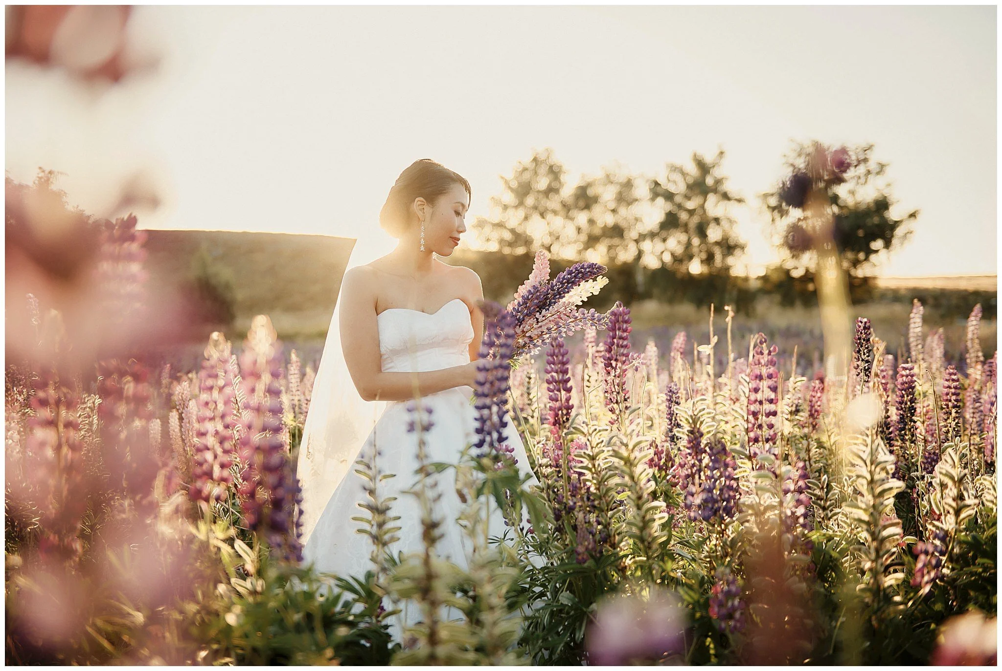 Queenstown New Zealand Pre-Wedding Shoot
