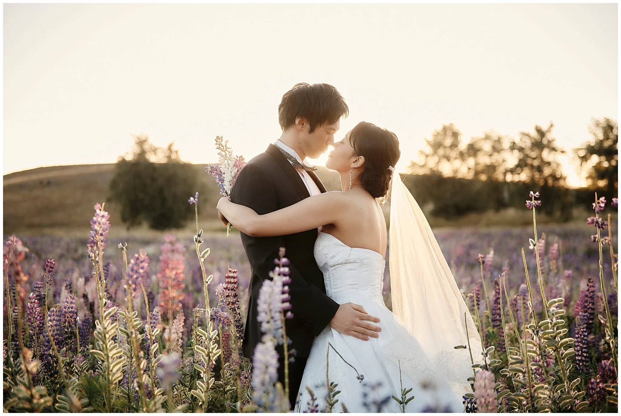 Queenstown New Zealand Pre-Wedding Shoot