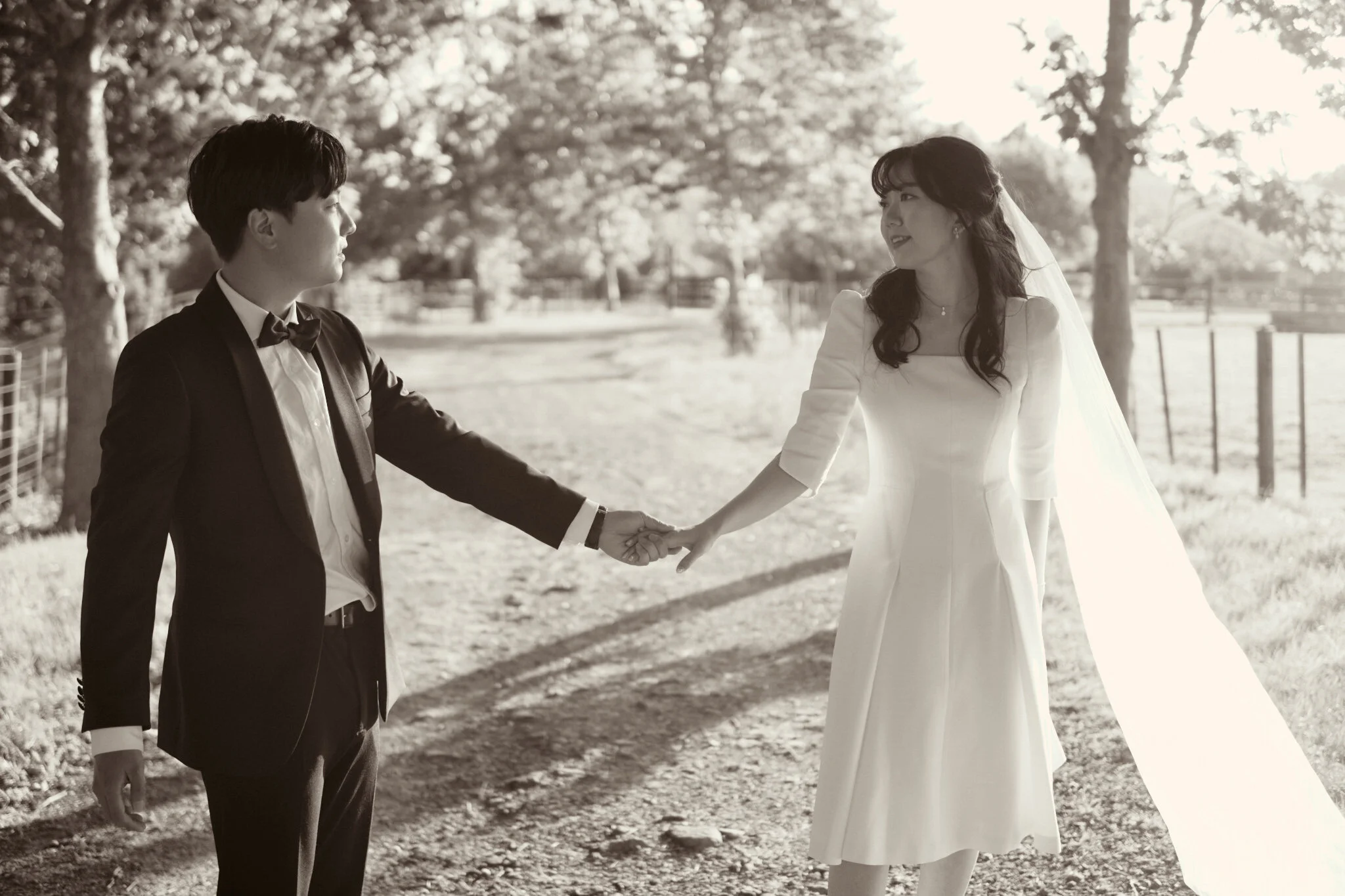 Auckland City Wedding Photographer