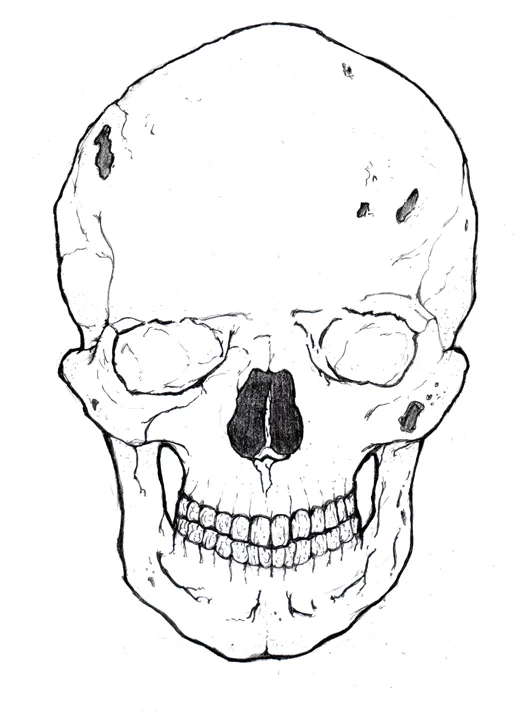 SkullFront.jpg