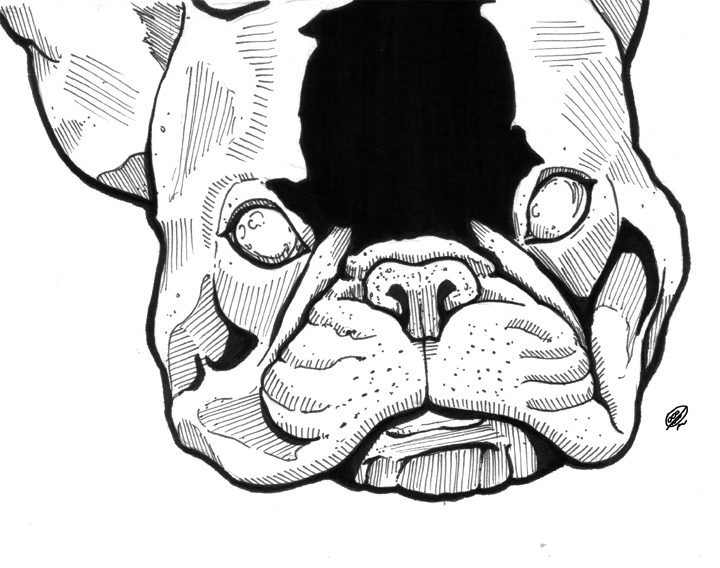 FDog.png