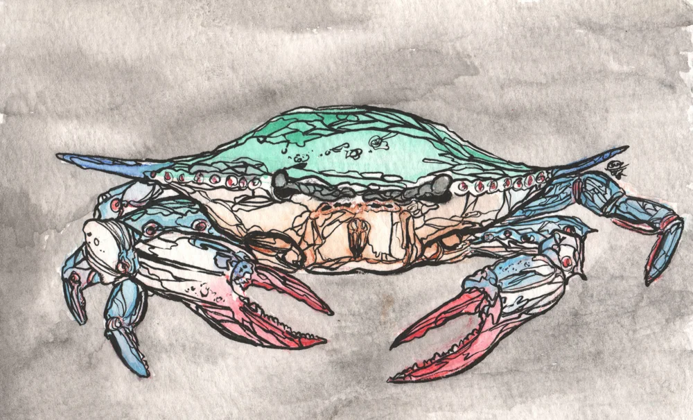 CRABBY