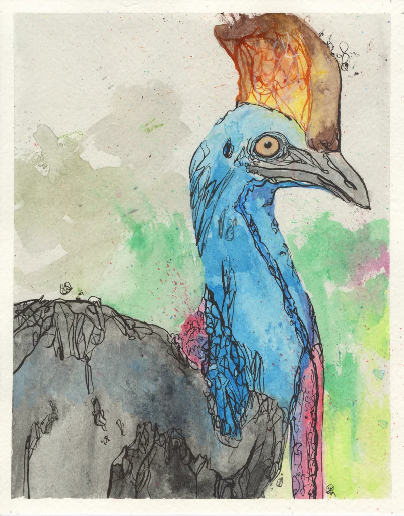 CASSOWARY (MURDER BIRD)