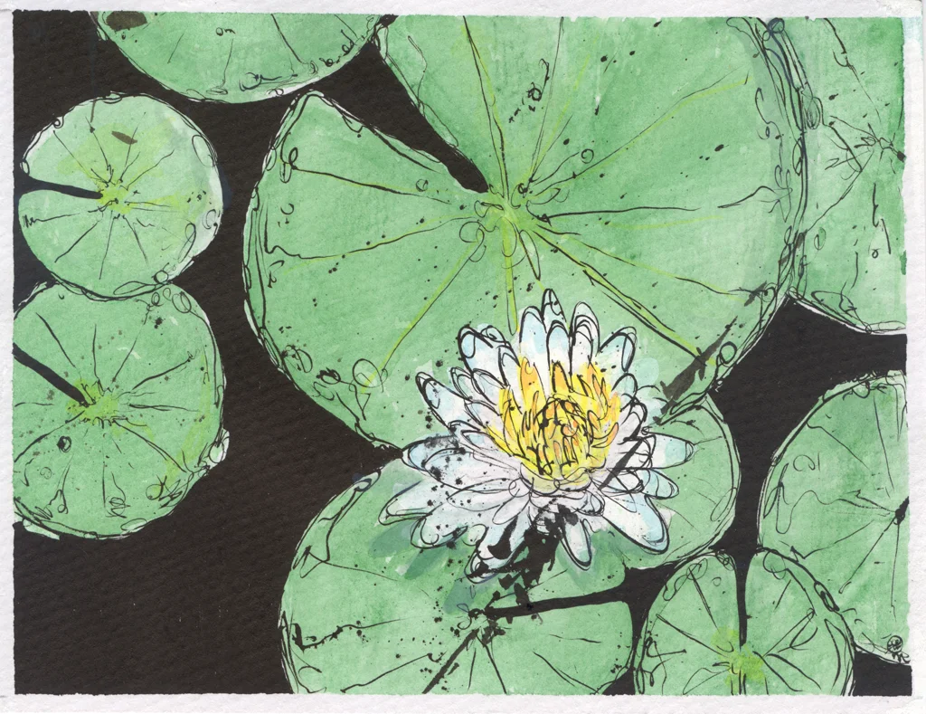 LILY