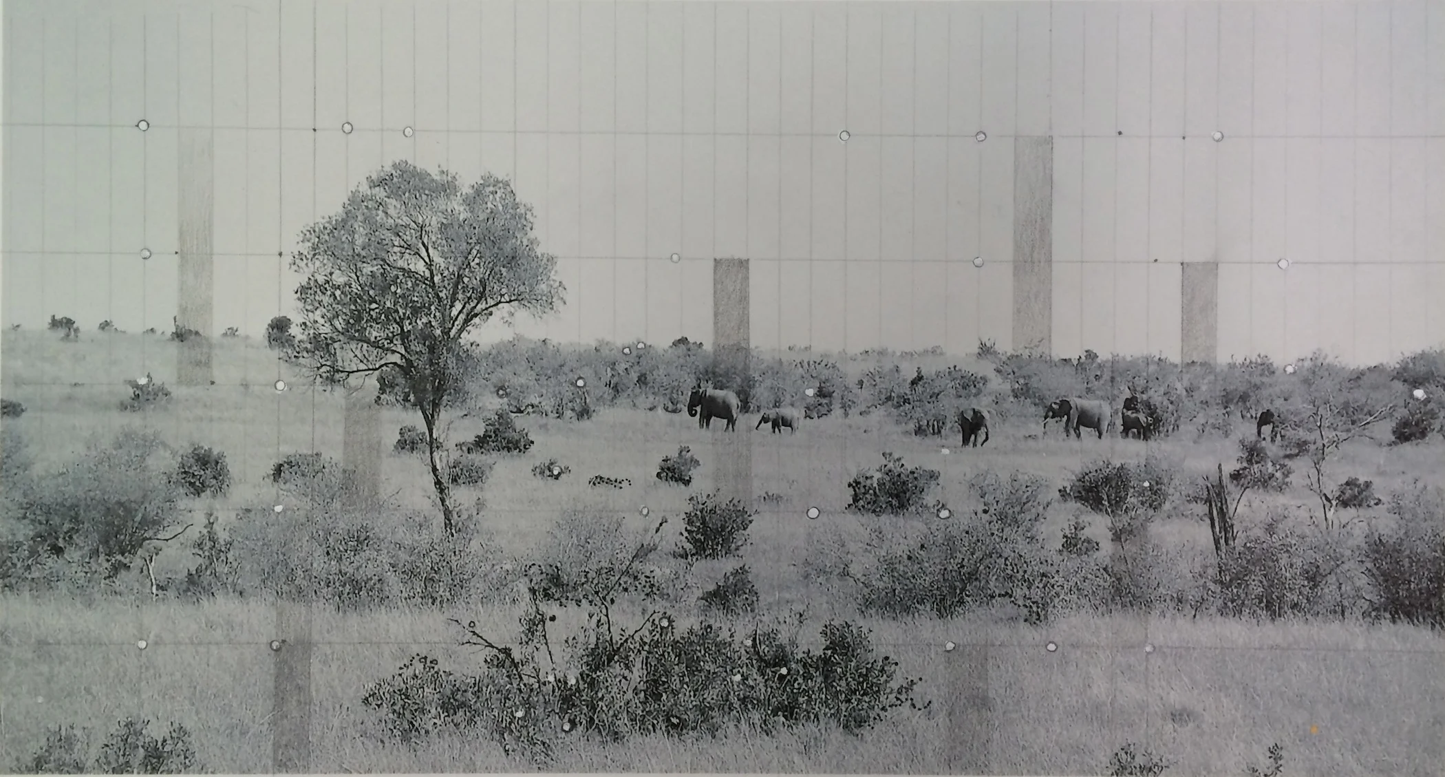 Elephant Habitat with pencil blocks