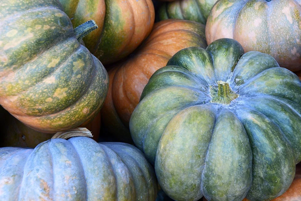 pumpkin-3680854_960_720.jpg