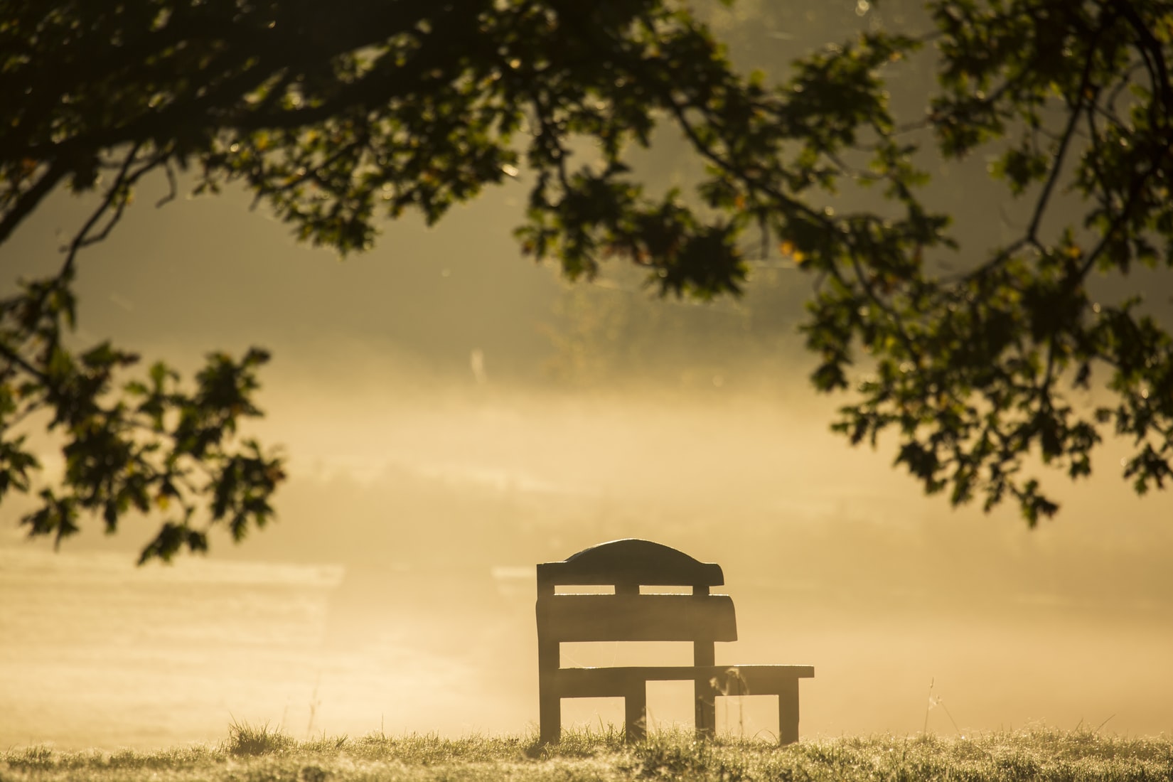 chair summer.jpeg