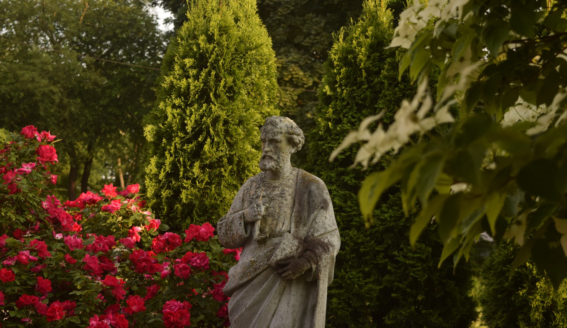 st.-peter-cropped.jpg
