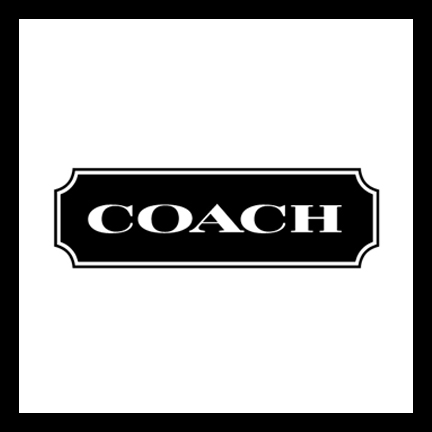 fiscalsponsor_coach_112713.jpg