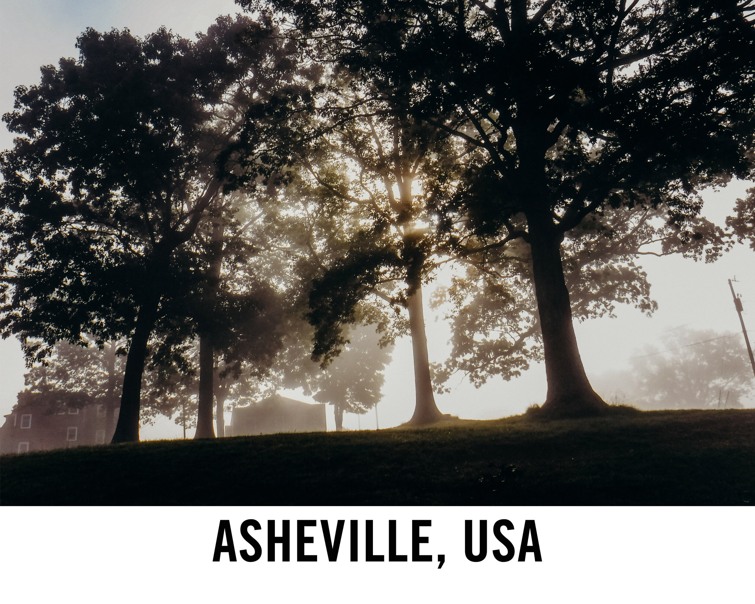 Asheville web graphic.jpg