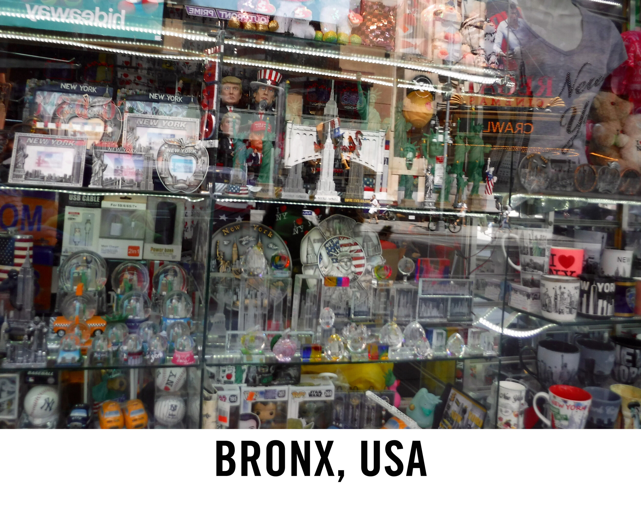 bronx.jpeg