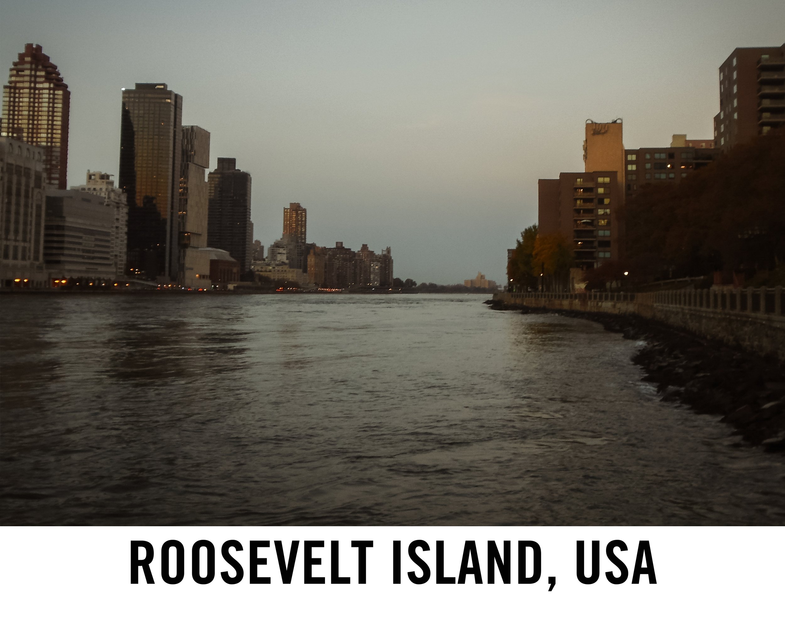 Roosevelt Island web graphic.jpeg