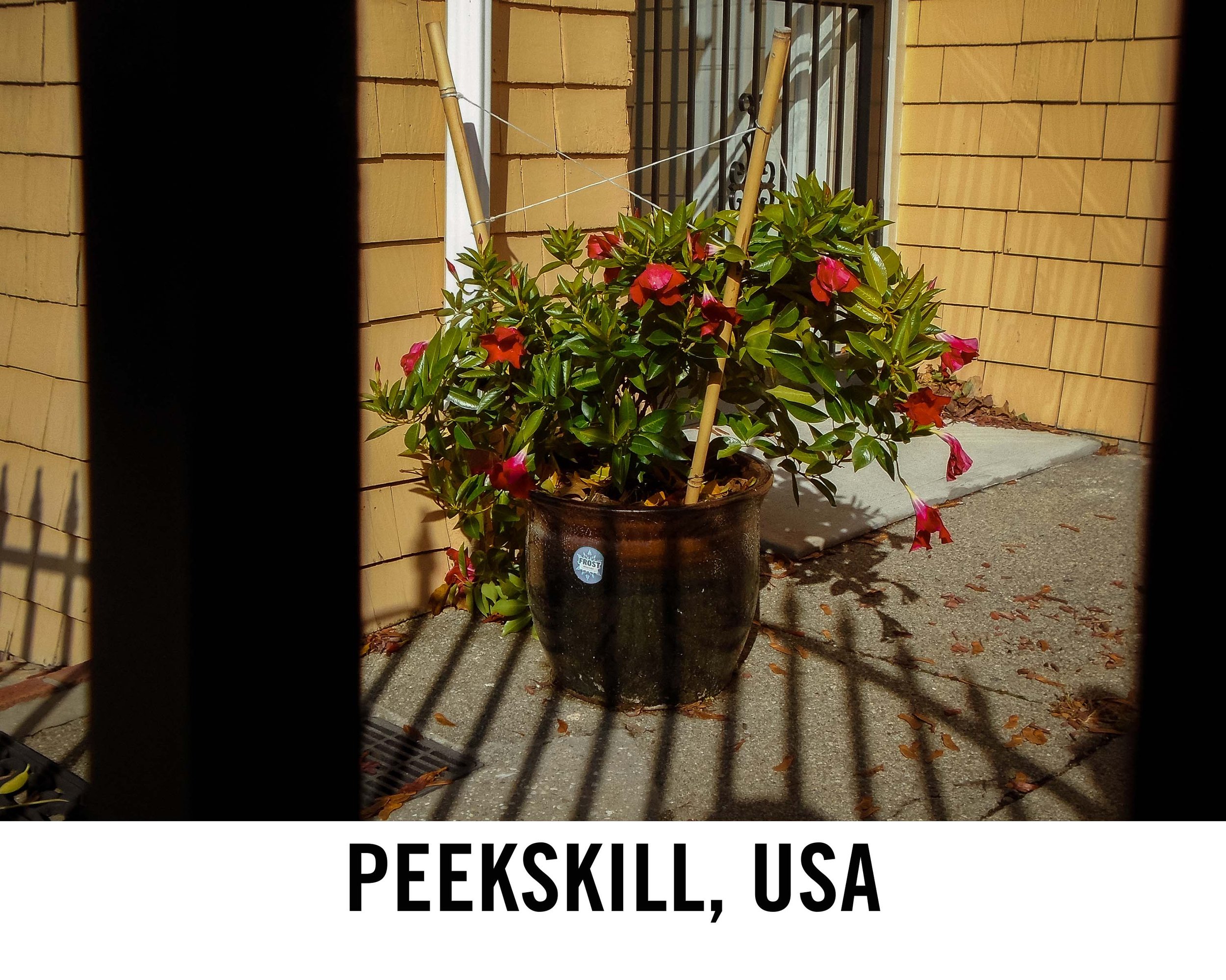 peekskill web graphic.jpg