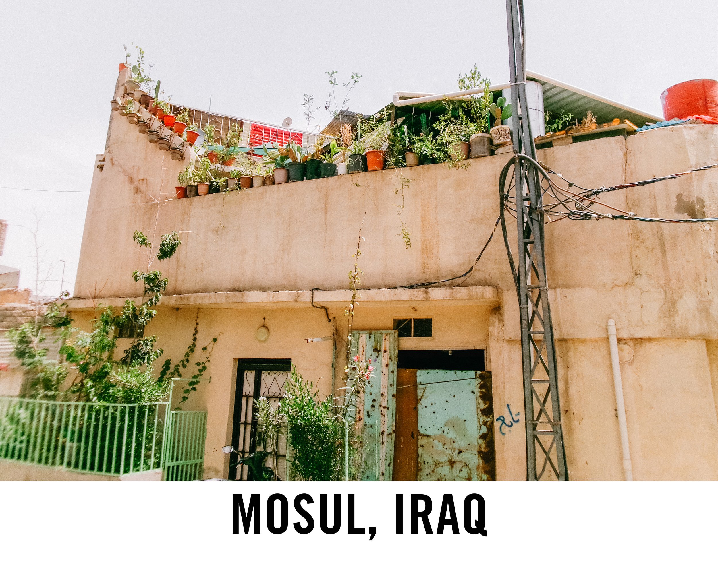 Mosul web graphic.jpg