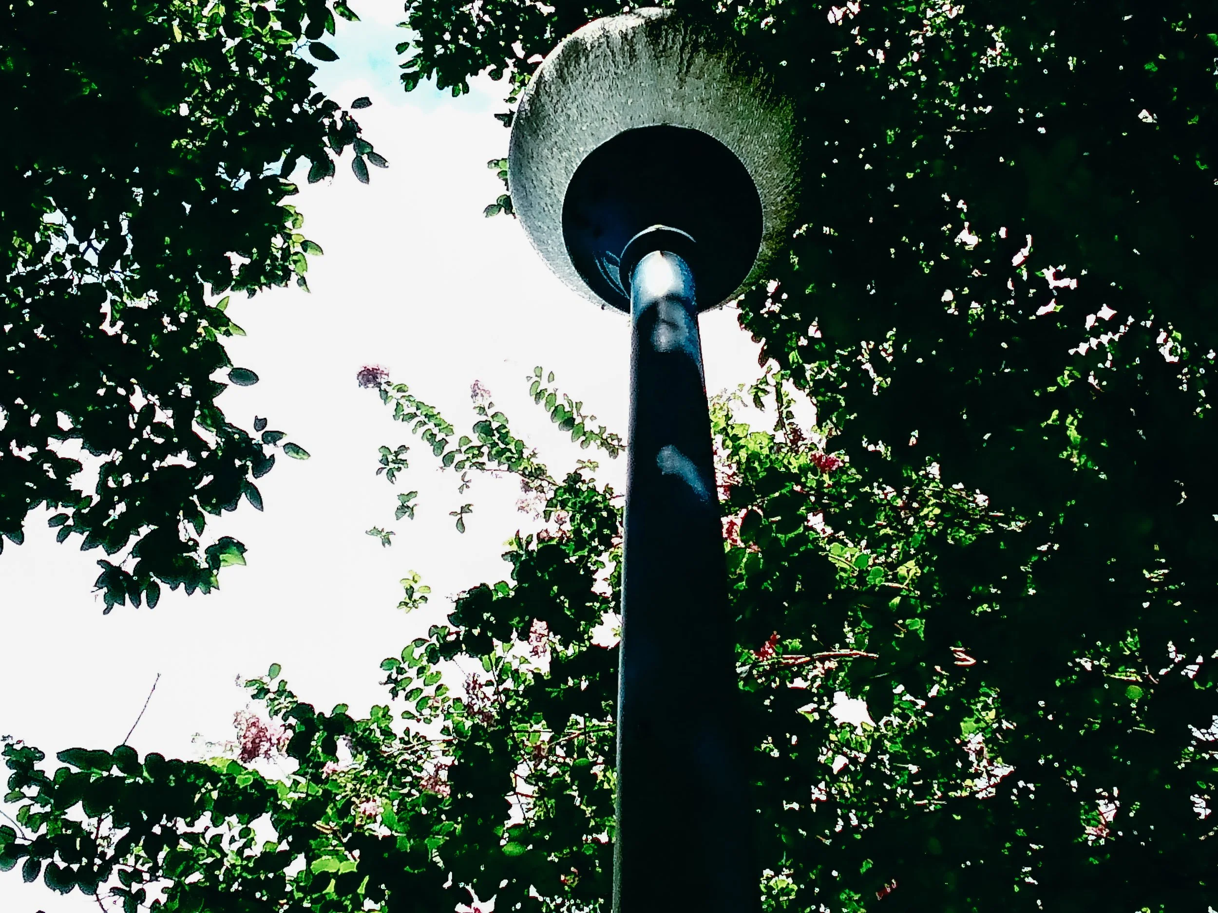 TSP8.Wexler.WestPalmBeachUSA.WPBParksRec.KarlyGodoy.20.jpg