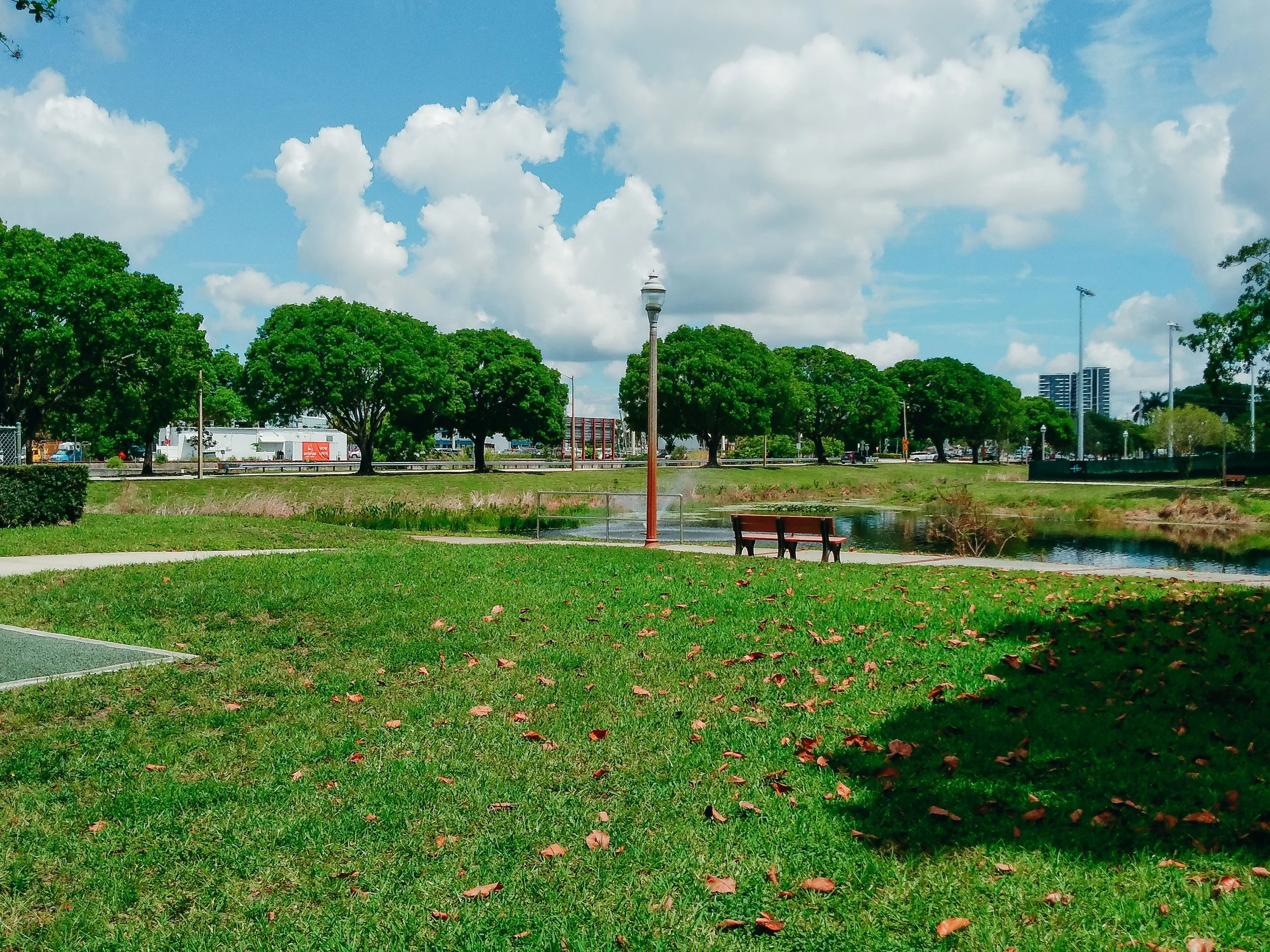 TSP8.Wexler.WestPalmBeachUSA.WPBParksRec.CalvinGaughan.32.jpeg