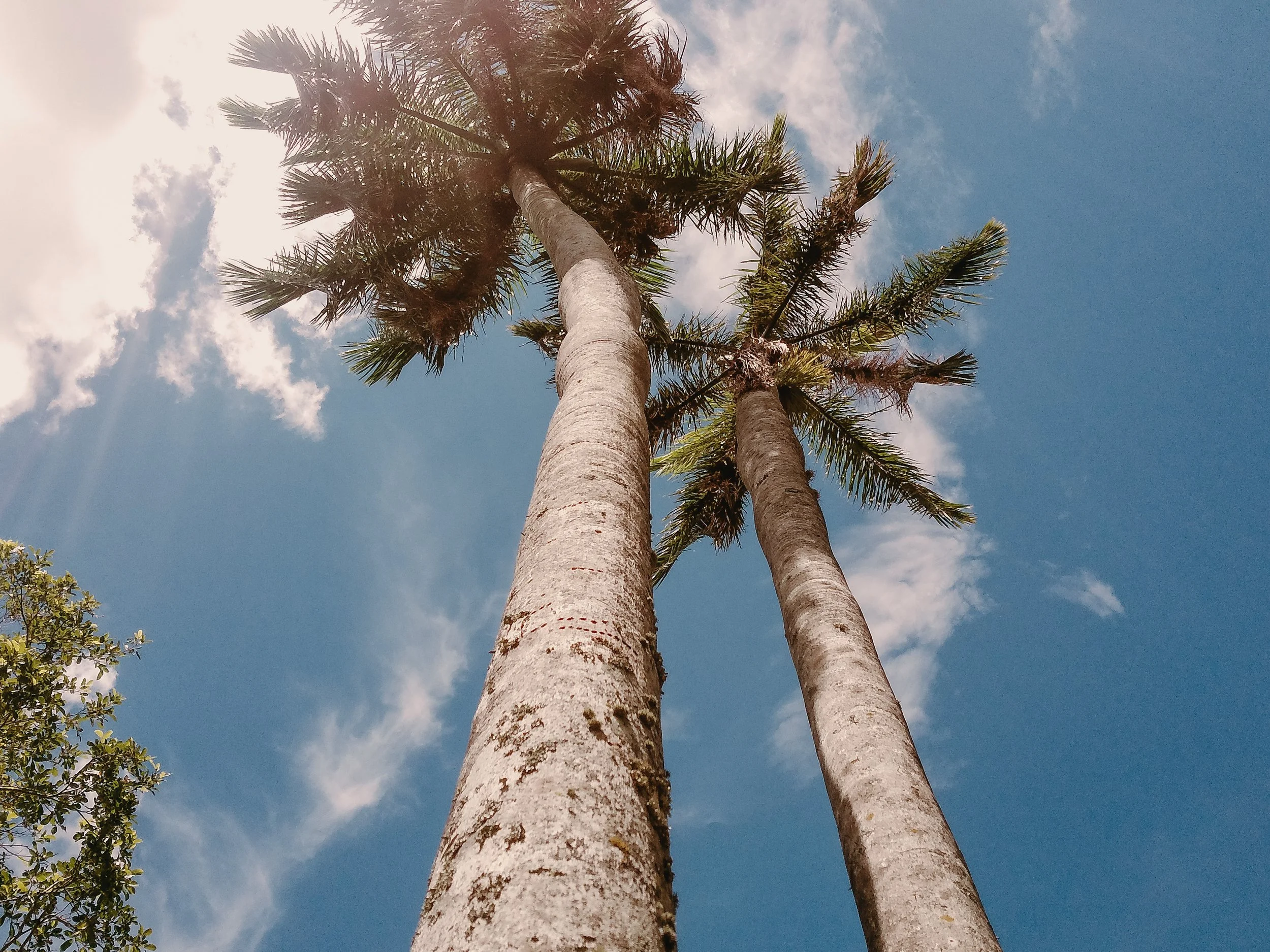 TSP8.Wexler.WestPalmBeachUSA.WPBParksRec.KarlyGodoy.14.jpeg