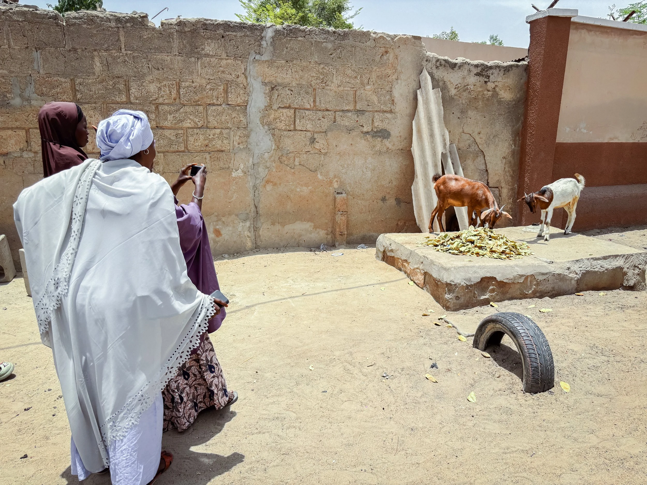 TFP.MaiduguriNigeria.UNIDIR.LydiaBillings.28.jpg