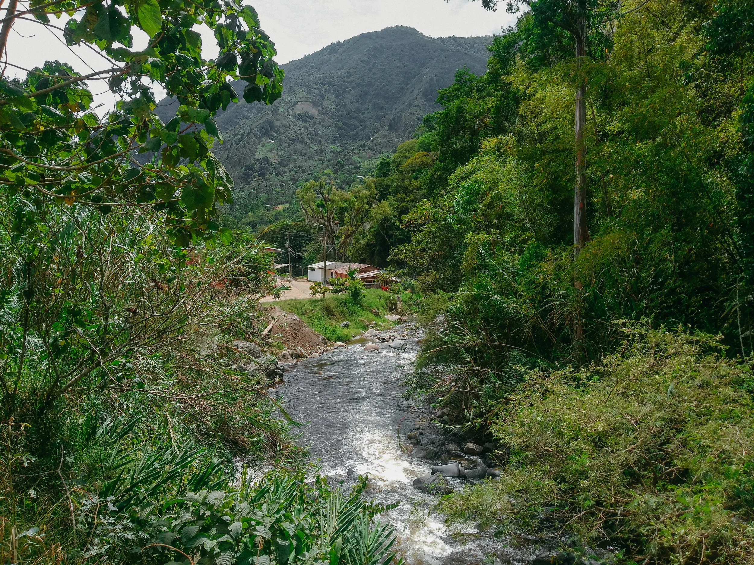 TFP.JambalóColombia.UNIDIR.EdinsonRubiolYuloQuitumbo.46.jpg