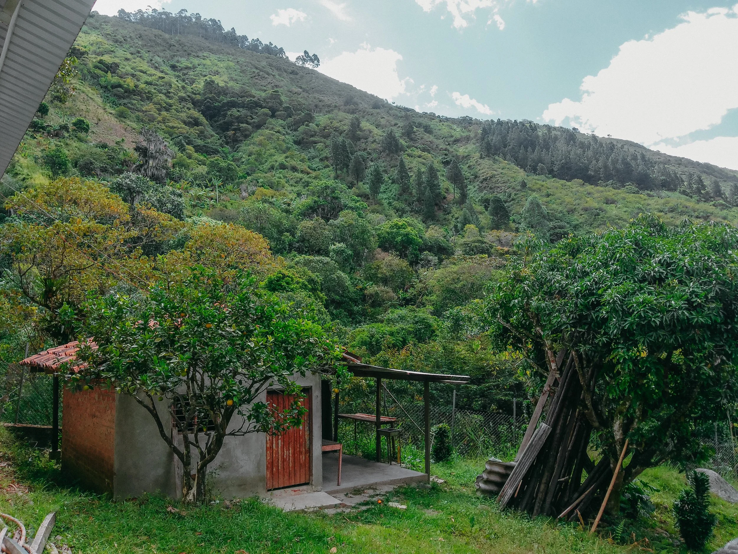TFP.JambalóColombia.UNIDIR.EdinsonRubiolYuloQuitumbo.82.jpg
