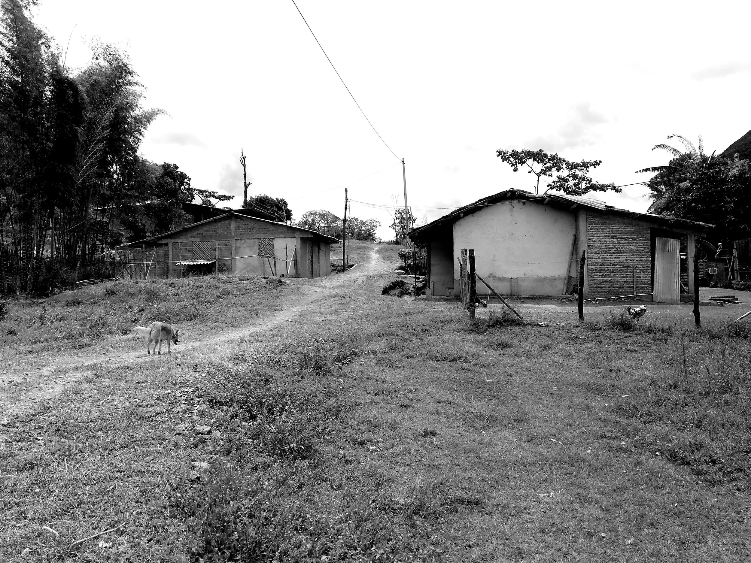 TFP.JambalóColombia.UNIDIR.HemersonAlejandroVilañaMartinez.160.jpg