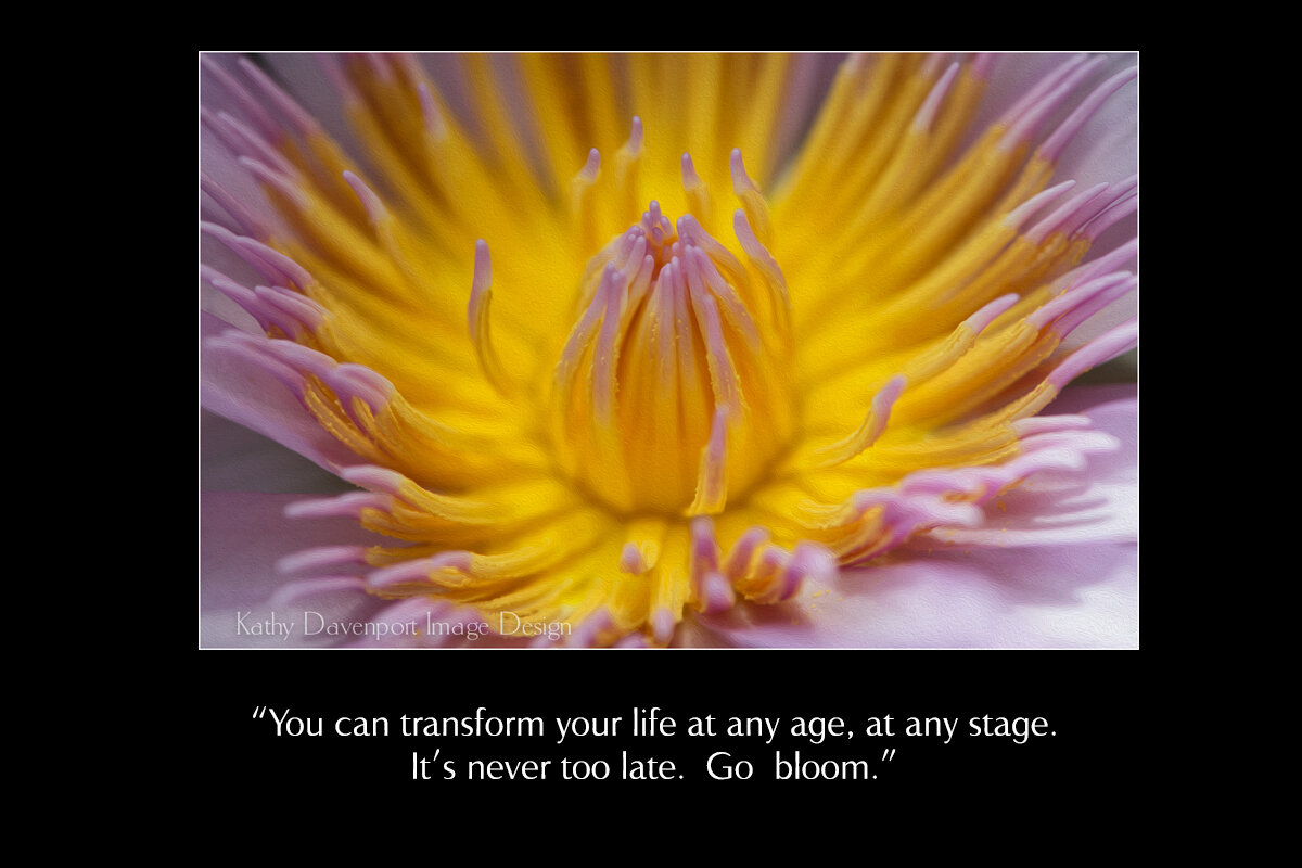 Transform Your Life.jpg