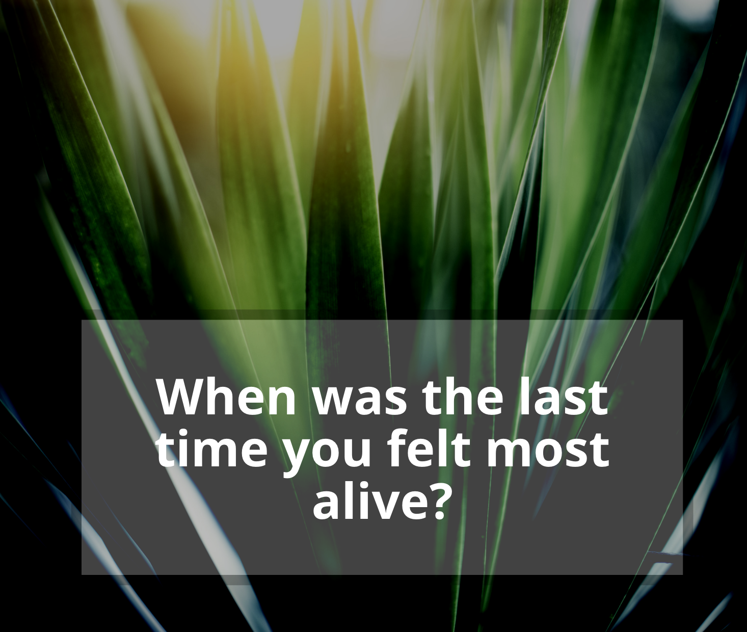 When Was The Last Time....