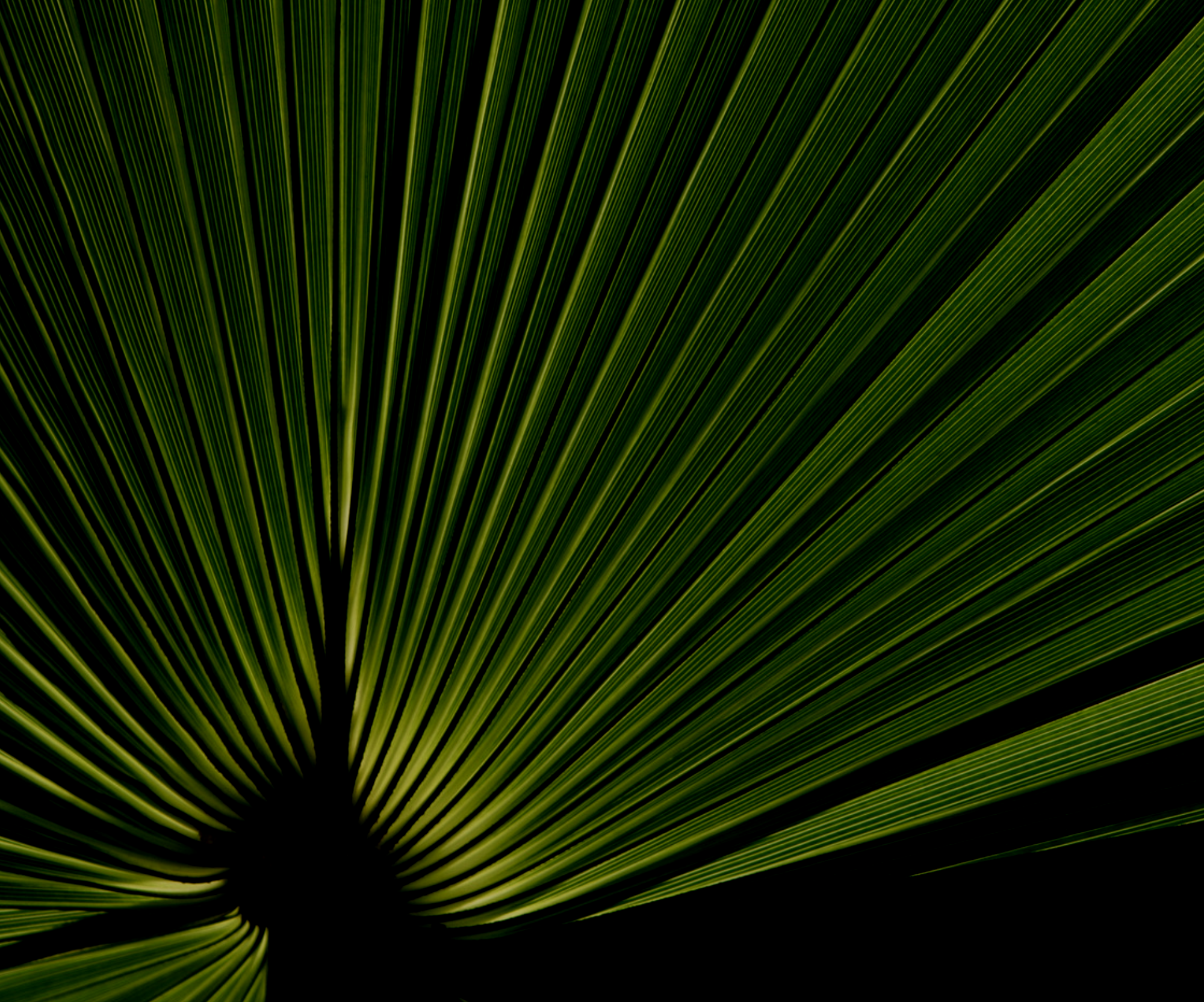 Screen Shot 2021-01-08 at 12.44.02 PM.png