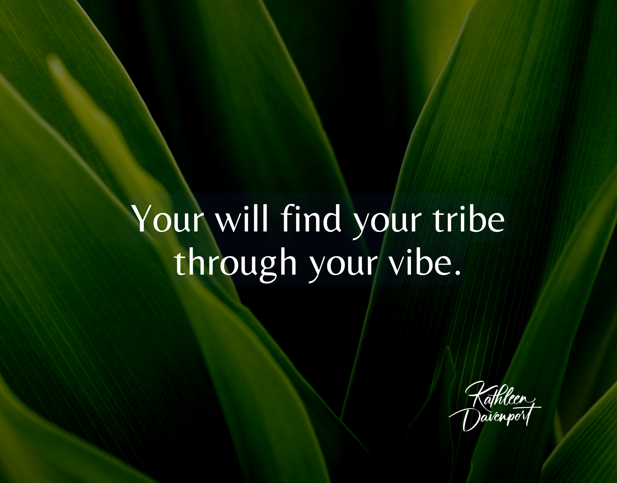 Finding Your Right Tribe