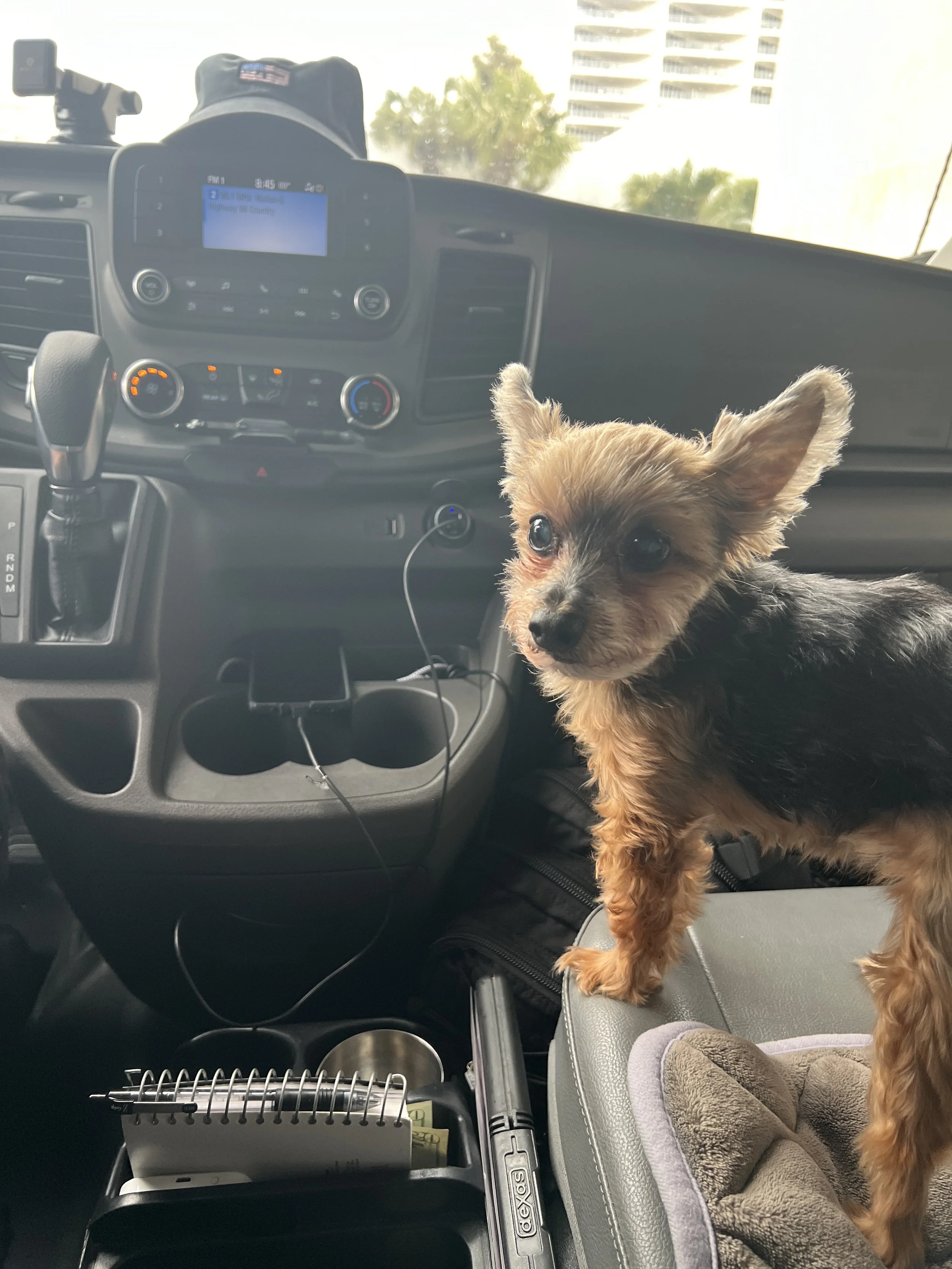 Kosta and Penelope:  Sometimes You Have to Adjust Your Focus