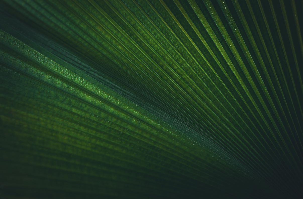 Background for Podcast Page.png