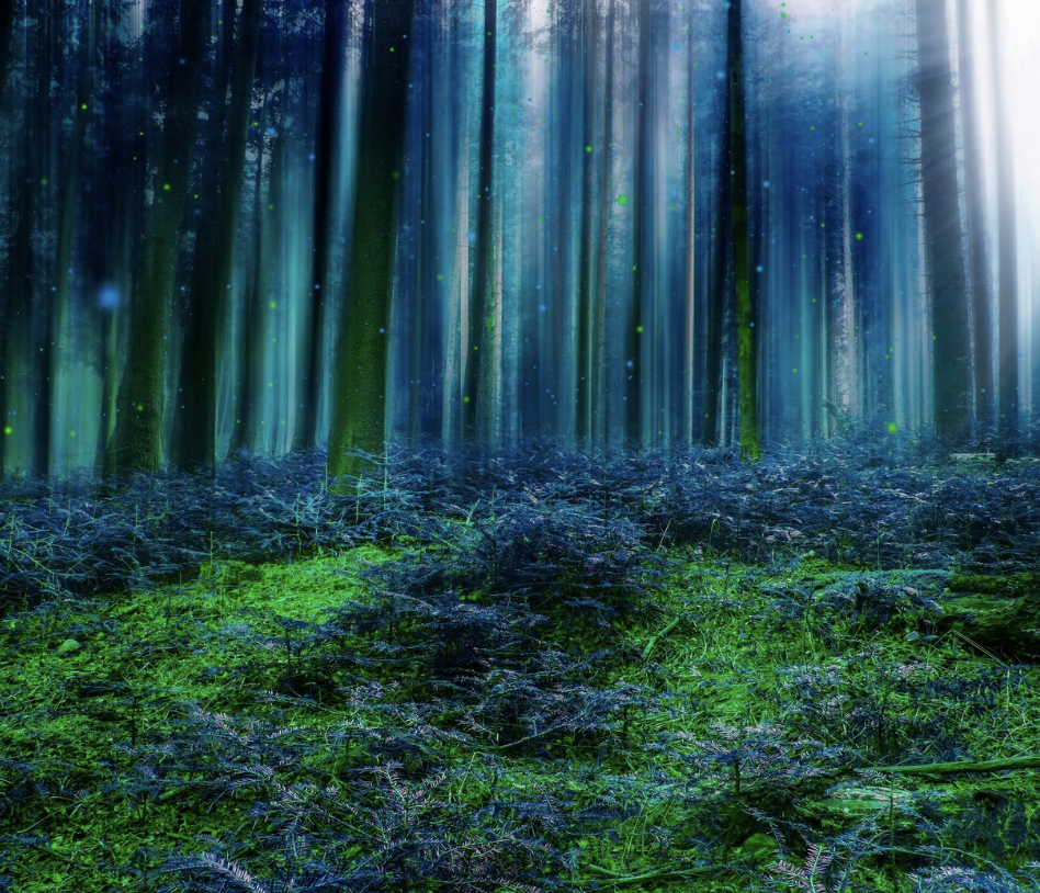 Blue forest.png